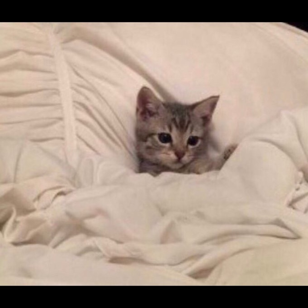 Meet your Posher, Erika